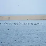 Casa de Campo Casa Lagoa Esmoriz