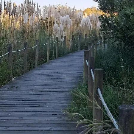 בית כפרי Casa Lagoa איזמוריס