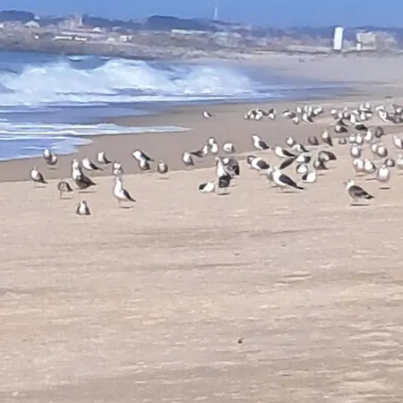 Casa Lagoa איזמוריס