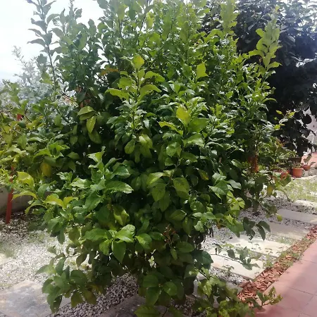 Casa Lagoa בית כפרי