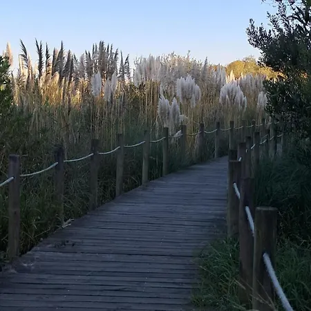 Casa Lagoa Casa di campagna