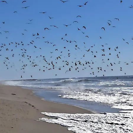 Casa Lagoa Casa di campagna Esmoriz