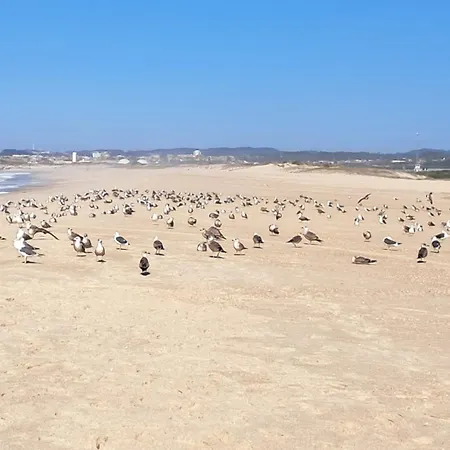 Casa Lagoa * Esmoriz