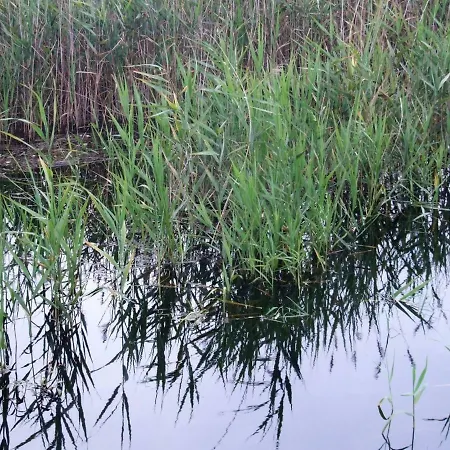 Casa di campagna Casa Lagoa *