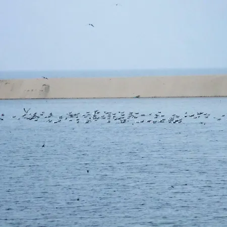 Εξοχικό σπίτι Casa Lagoa Esmoriz