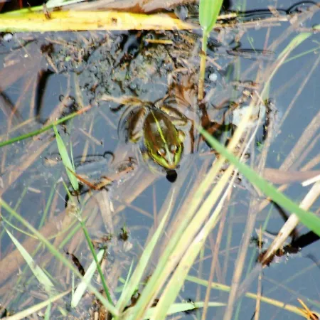 Landsted Casa Lagoa Verde Esmoriz