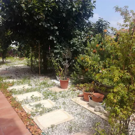 Casa Lagoa Country house Esmoriz