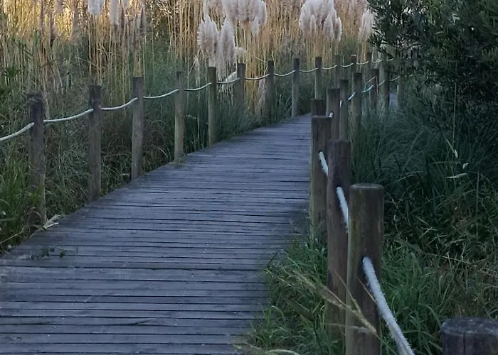 Летний дом Casa Lagoa Эшмориш