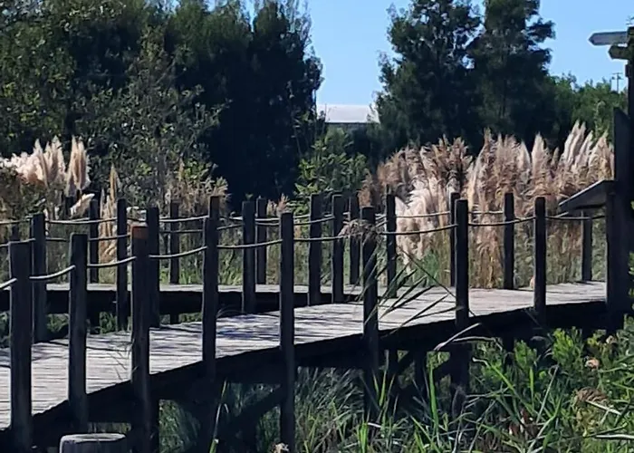 Casa di campagna Casa Lagoa Esmoriz