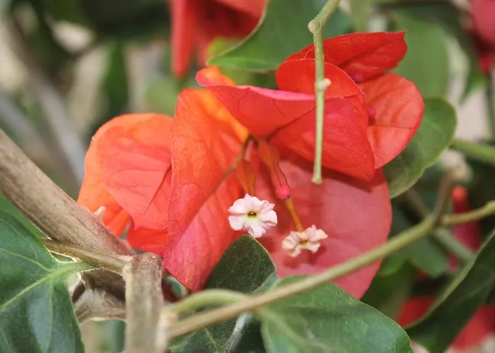 Casa Lagoa Летний дом *