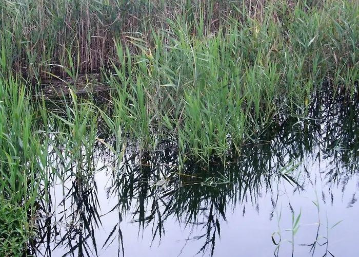 Летний дом Casa Lagoa *