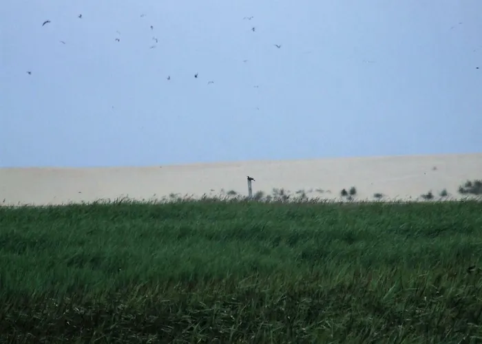 Casa Lagoa Летний дом