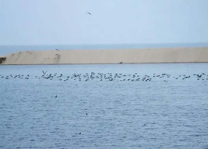 Летний дом Casa Lagoa Эшмориш