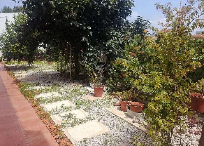 Casa Lagoa Casa de Campo Esmoriz